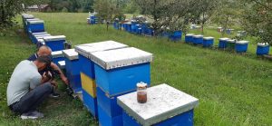 munever suljić iz živiničke mjesne zajednice suha – paradigma vrhunskog pčelara