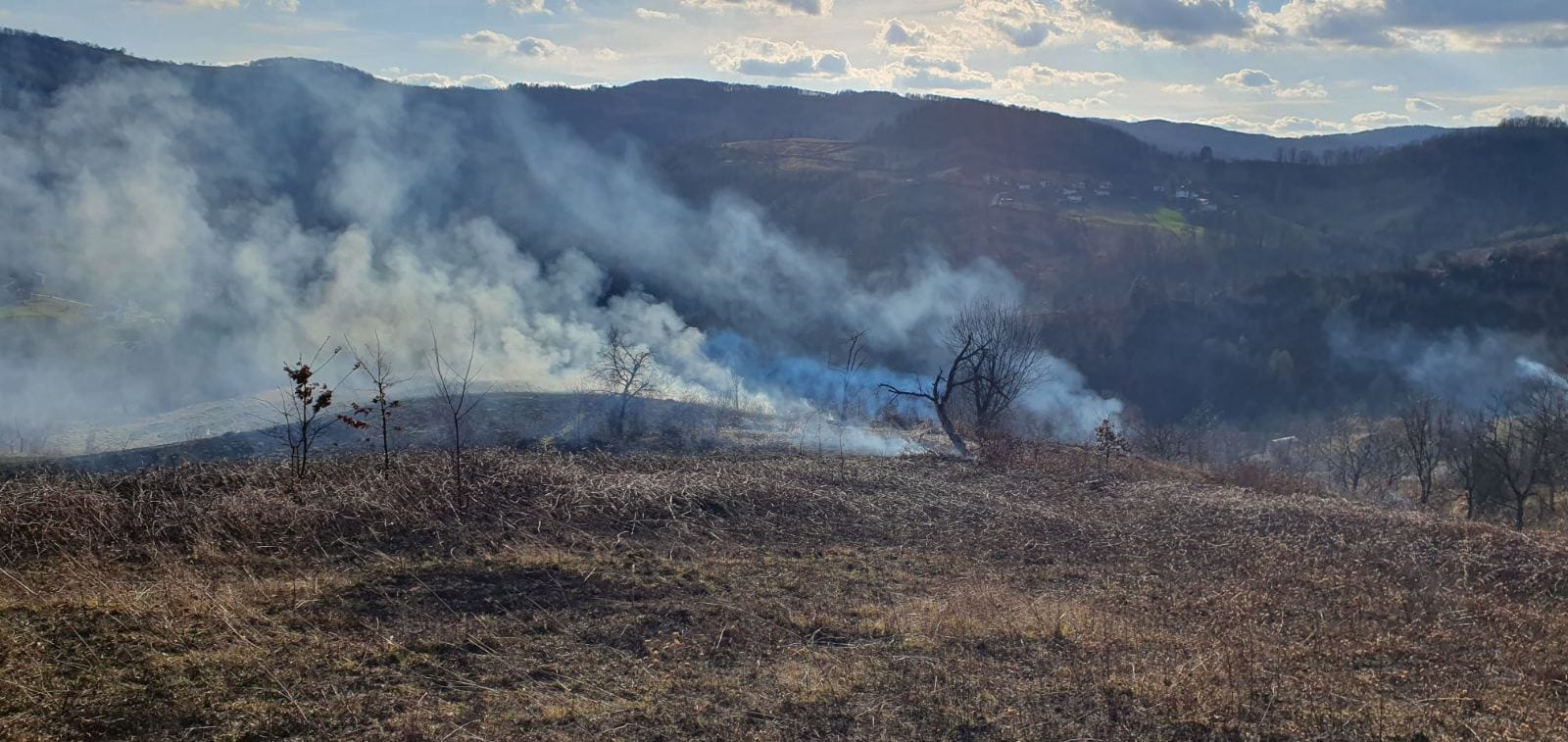 Može biti slika sljedećeg: vatra i trava
