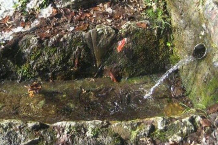 Muška voda Kladanj skriveni izvor u netaknutoj prirodi muška voda