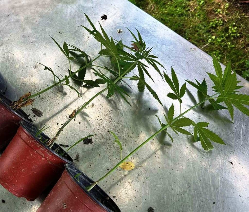 Uprava policije MUP TK-a – realizovane pojačane planske aktivnosti (FOTO) uprava policije mup tk-a – realizovane pojačane planske aktivnosti (foto)