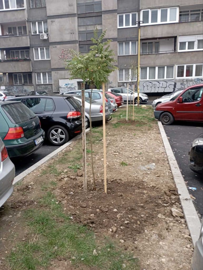 Grad Tuzla nastavlja sa sadnjom drveća u sklopu jesenjeg uređenja grada grad tuzla nastavlja sa sadnjom drveća u sklopu jesenjeg uređenja grada